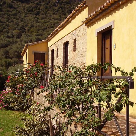 Azienda Agrituristica Biologica Il Querceto 산타세베리나 외부 사진