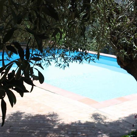 Azienda Agrituristica Biologica Il Querceto 산타세베리나 외부 사진