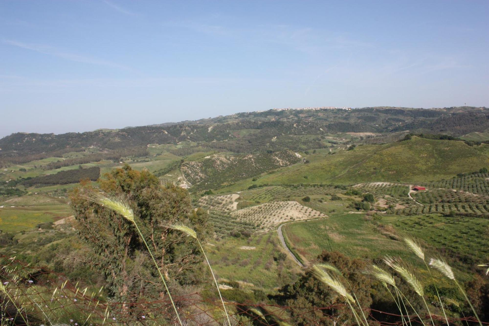 Azienda Agrituristica Biologica Il Querceto 산타세베리나 외부 사진