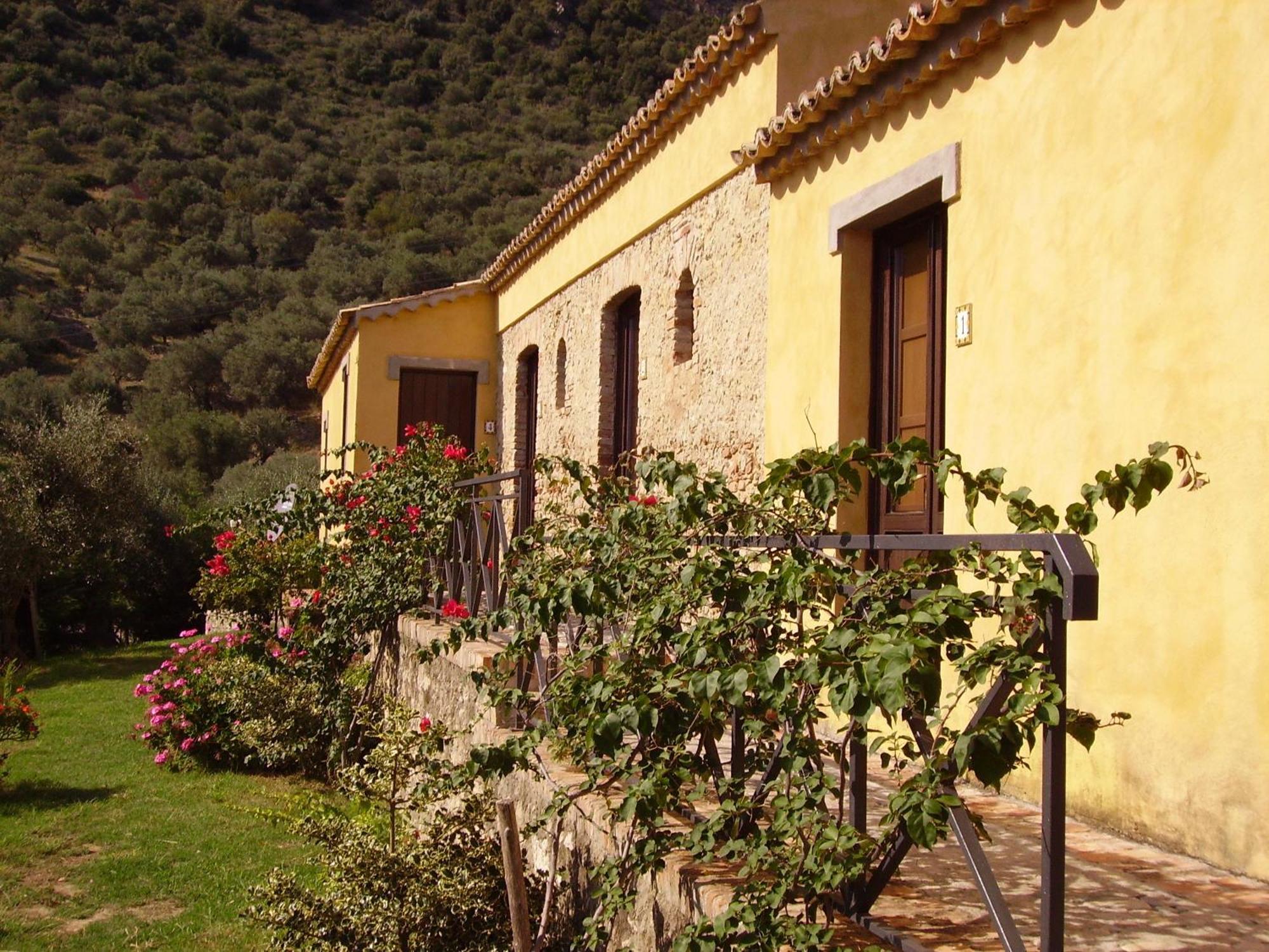 Azienda Agrituristica Biologica Il Querceto 산타세베리나 외부 사진