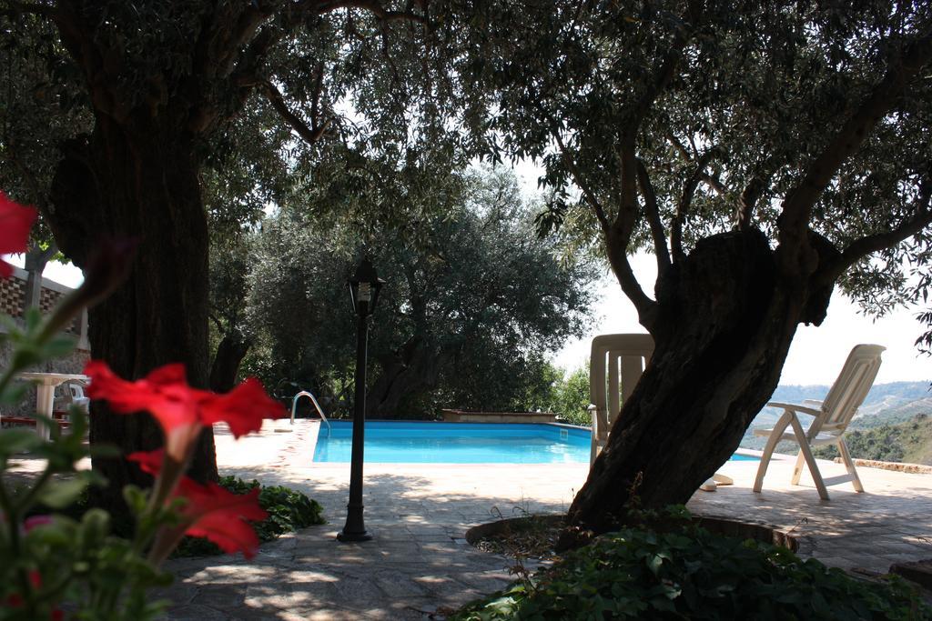 Azienda Agrituristica Biologica Il Querceto 산타세베리나 외부 사진
