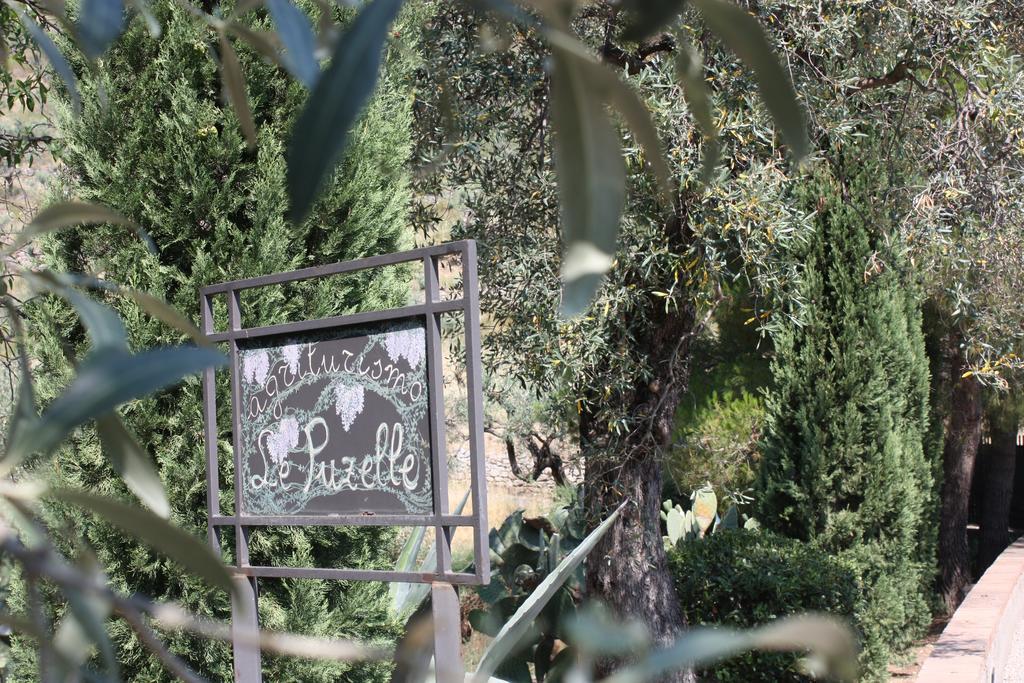 Azienda Agrituristica Biologica Il Querceto 산타세베리나 외부 사진