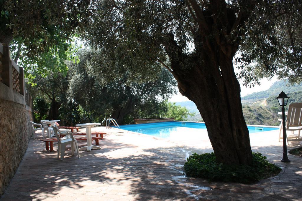 Azienda Agrituristica Biologica Il Querceto 산타세베리나 외부 사진