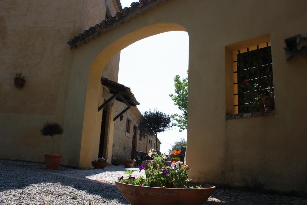 Azienda Agrituristica Biologica Il Querceto 산타세베리나 외부 사진