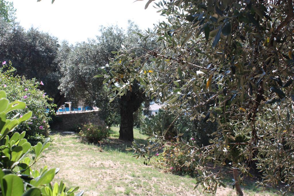 Azienda Agrituristica Biologica Il Querceto 산타세베리나 외부 사진