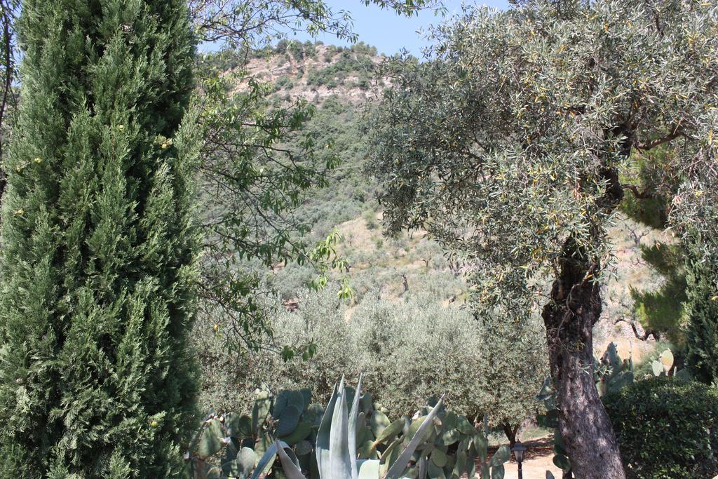 Azienda Agrituristica Biologica Il Querceto 산타세베리나 외부 사진
