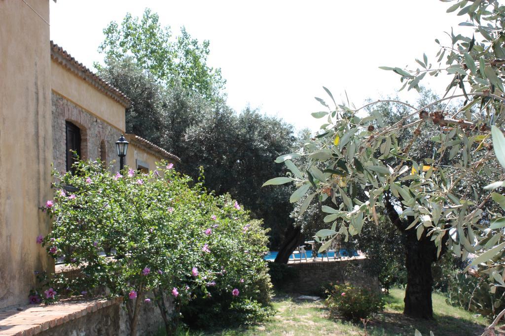 Azienda Agrituristica Biologica Il Querceto 산타세베리나 외부 사진