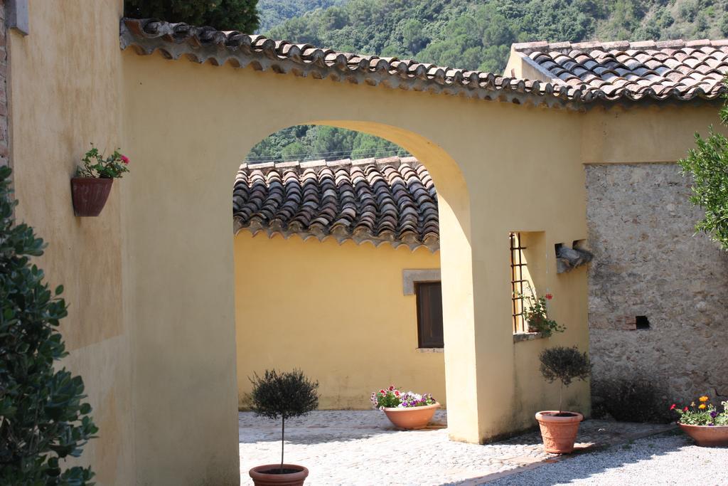 Azienda Agrituristica Biologica Il Querceto 산타세베리나 외부 사진
