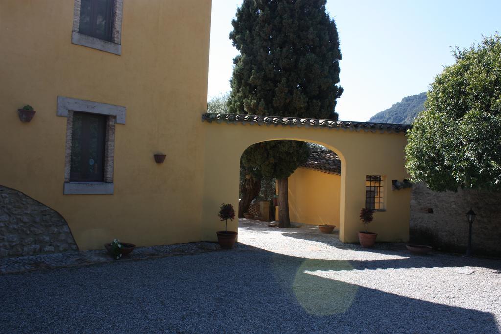 Azienda Agrituristica Biologica Il Querceto 산타세베리나 외부 사진