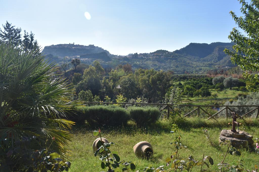 Azienda Agrituristica Biologica Il Querceto 산타세베리나 외부 사진