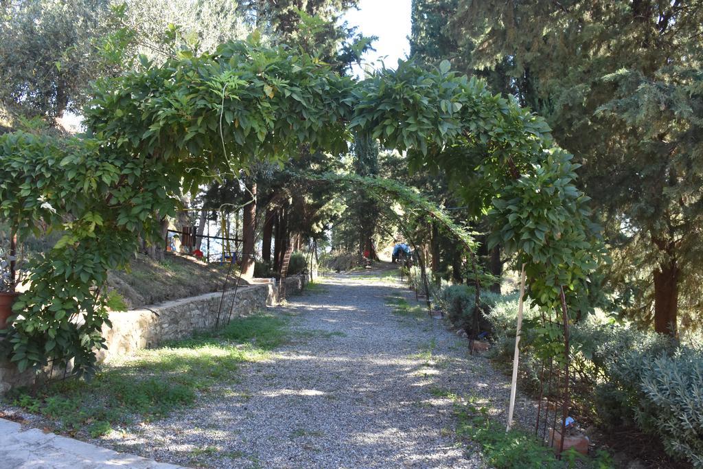Azienda Agrituristica Biologica Il Querceto 산타세베리나 외부 사진