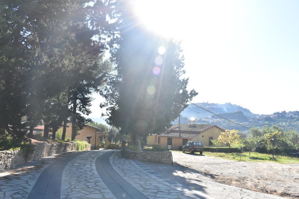 Azienda Agrituristica Biologica Il Querceto 산타세베리나 외부 사진