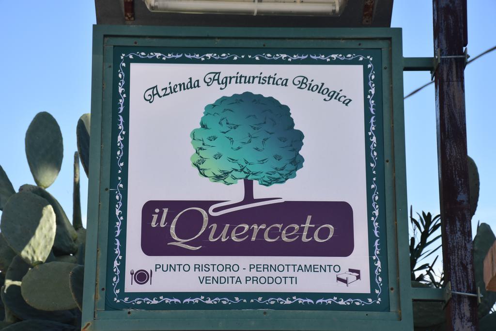 Azienda Agrituristica Biologica Il Querceto 산타세베리나 외부 사진