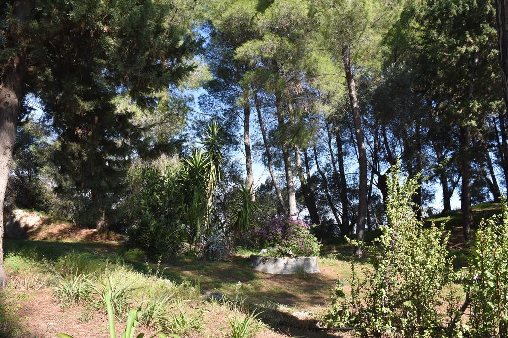 Azienda Agrituristica Biologica Il Querceto 산타세베리나 외부 사진