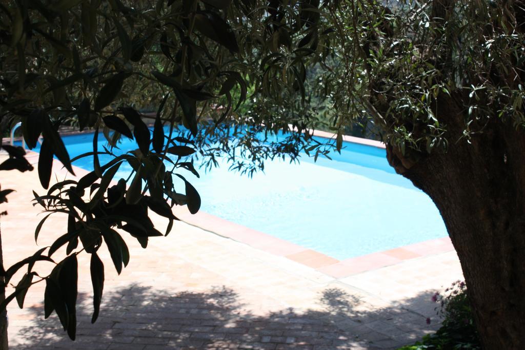 Azienda Agrituristica Biologica Il Querceto 산타세베리나 외부 사진