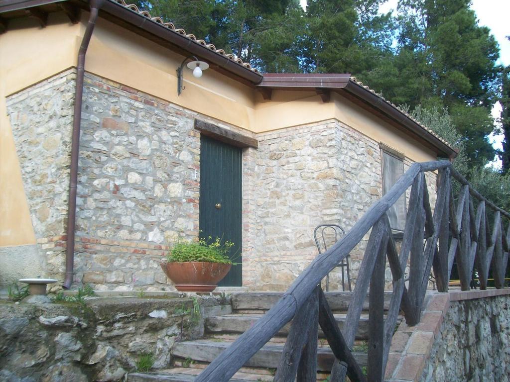 Azienda Agrituristica Biologica Il Querceto 산타세베리나 외부 사진